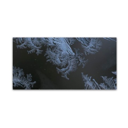 Kurt Shaffer 'Frost Lace' Canvas Art,12x24